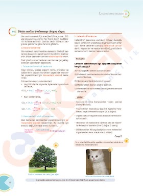 Eksen TYT Biyoloji Konu Anlatımı PDF indir