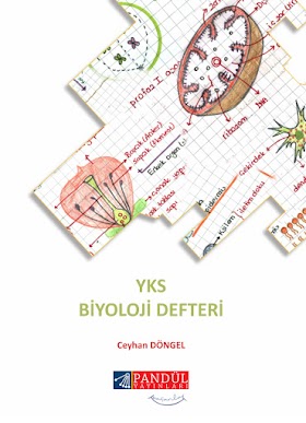 Pandül YKS Biyoloji Defteri PDF