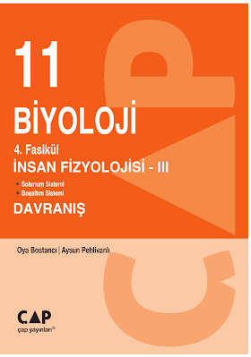 Çap 11. Sınıf Biyoloji 4. Fasikül İnsan Fizyolojisi 3 PDF indir